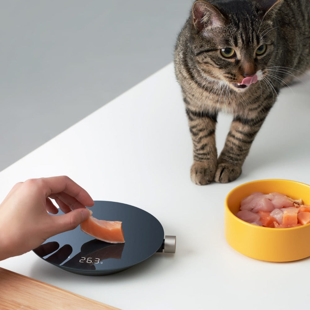 HOTO Smart Kitchen Scale | 0.1g Precision